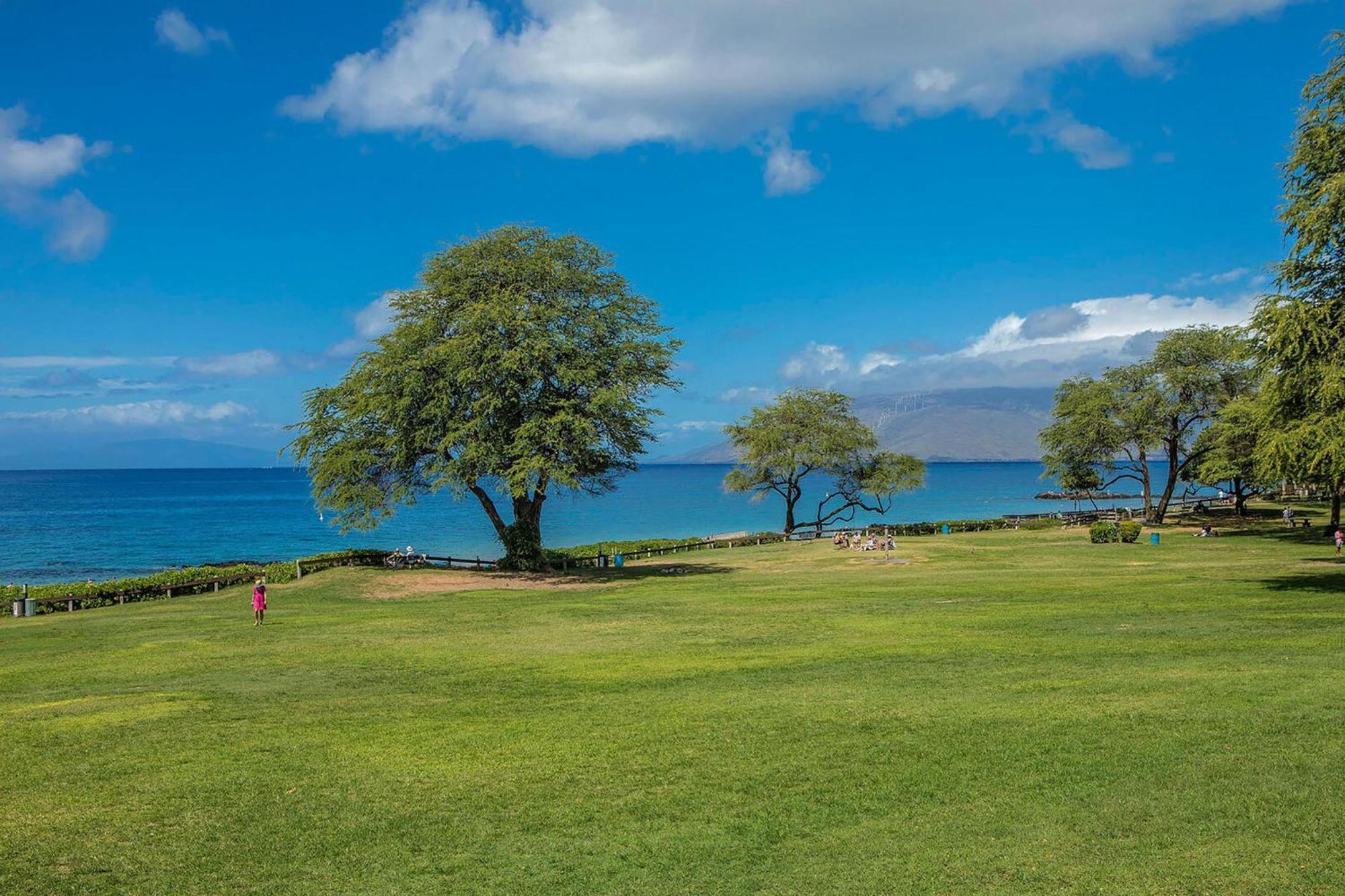 Kamaole Sands 4-412, Ocean Views, Renovation, Ac! Villa Wailea  Exteriör bild