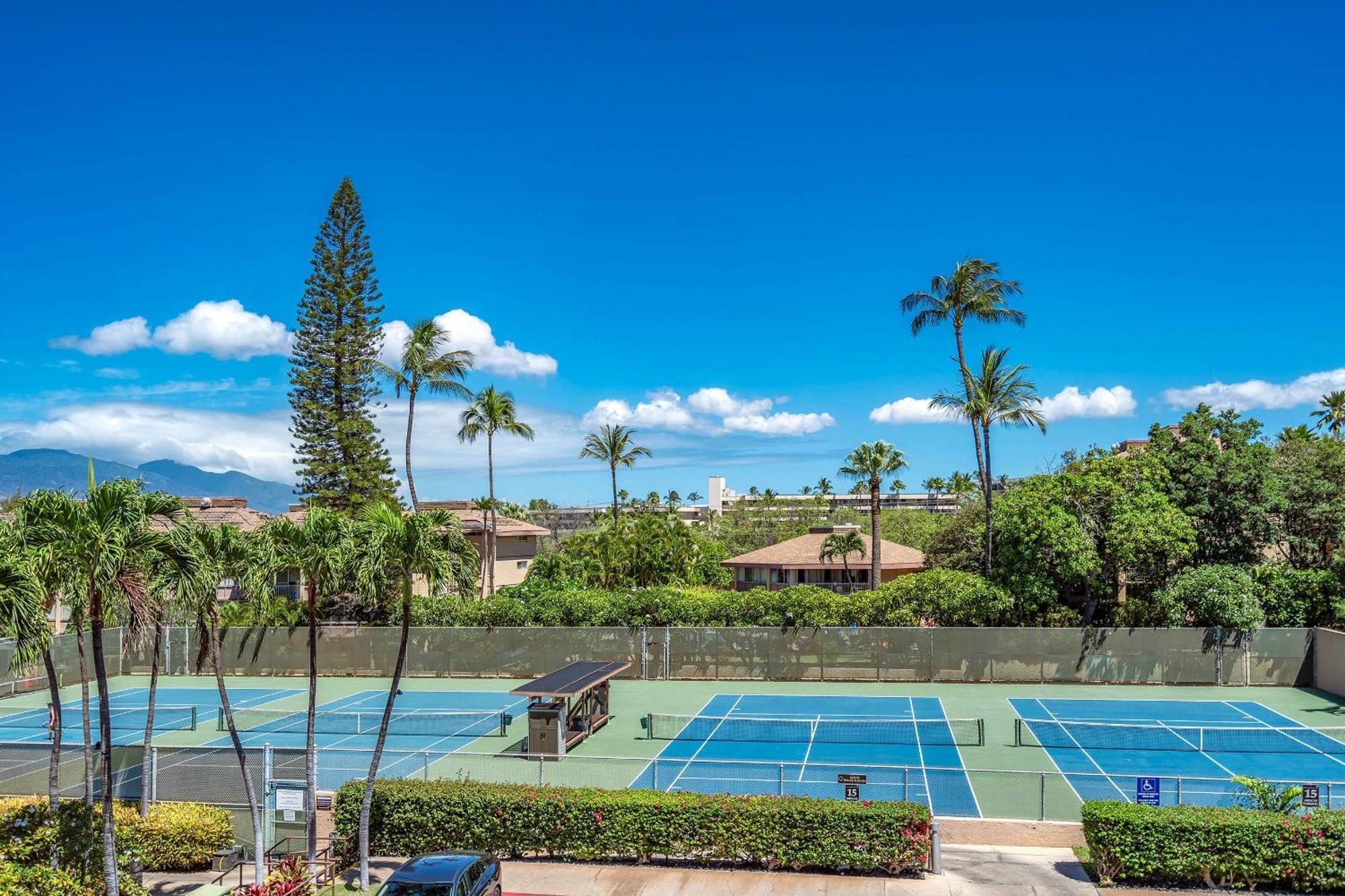 Kamaole Sands 4-412, Ocean Views, Renovation, Ac! Villa Wailea  Exteriör bild